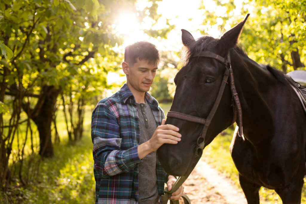 Horse and horse rider